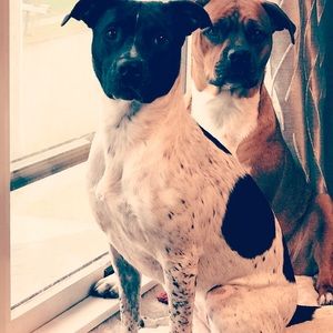 Meet your Posher, Eli